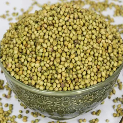 Coriander / धणे